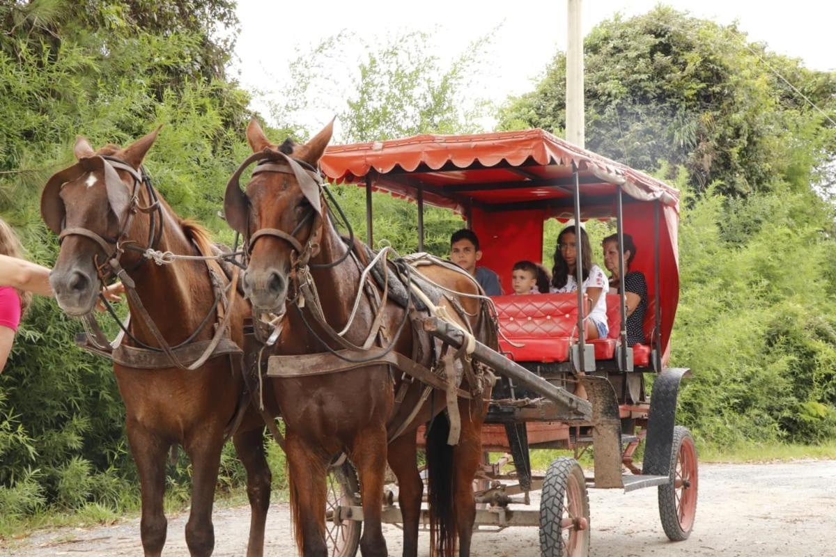 Agroturismo Parque Do Avestruz Eco *
